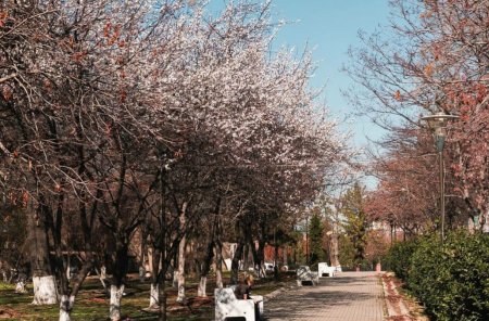 karone